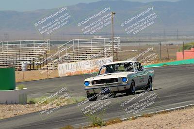 media/May-07-2022-Cobra Owners Club of America (Sat) [[e681d2ddb7]]/White/Session 1 (Turn 4)/